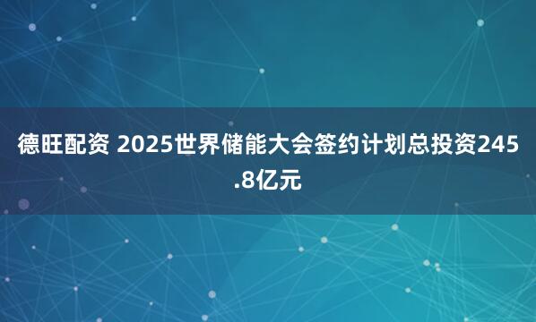 德旺配资 2025世界储能大会签约计划总投资245.8亿元