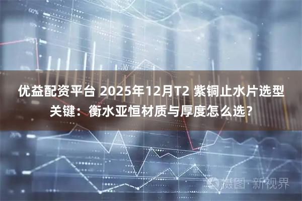 优益配资平台 2025年12月T2 紫铜止水片选型关键：衡水亚恒材质与厚度怎么选？