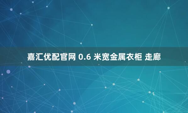 嘉汇优配官网 0.6 米宽金属衣柜 走廊