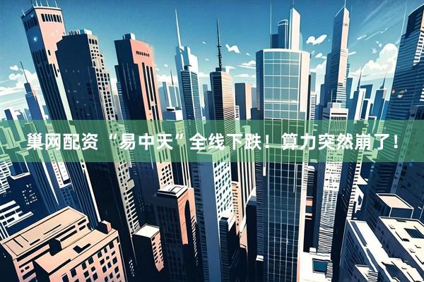 巢网配资 “易中天”全线下跌！算力突然崩了！