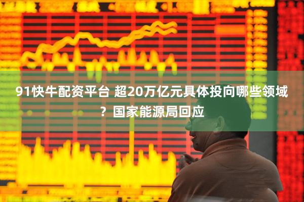 91快牛配资平台 超20万亿元具体投向哪些领域？国家能源局回应